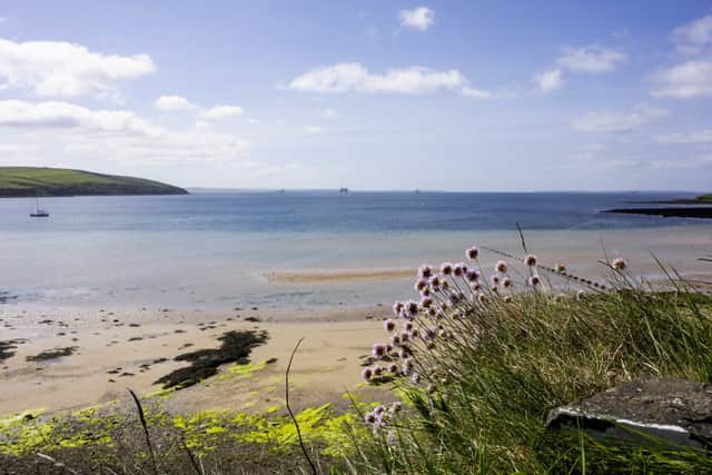 Picture: Scapa Flow