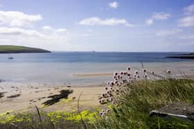 Picture: Scapa Flow