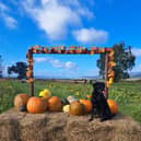 South Ardbennie Farm in Perthshire will no longer be open for pick your own pumpkins