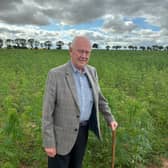 Martin and his hemp crop