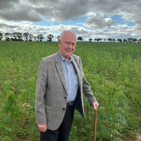 Martin and his hemp crop