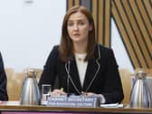 Mairi McAllan gives evidence to Holyrood committee