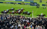 Crowds will be descending onto Ayr Racecourse this week.