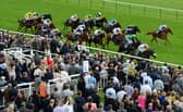 Ayr Racecourse will host three days of action this week, culminating the Ayr Gold Cup on Saturday.