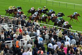 Ayr Racecourse will host three days of action this week, culminating the Ayr Gold Cup on Saturday.