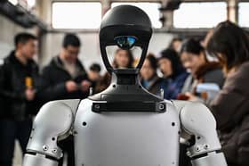 Despite rapid advances in the technology, there is still no global regulatory framework governing AI safety (Picture: Hector Retamal)