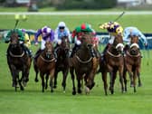 Ayr Racecourse will be packed with spectators for the Ayr Gold Cup this weekend.