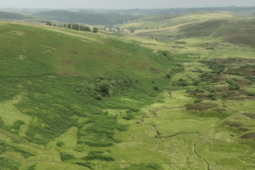 One of Scotland's largest landowners uses controversial carbon credit firm Verra for new woodland