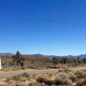 Susan Dalgety's motorhome pictured while driving through the Mojave desert in search of Joshua trees