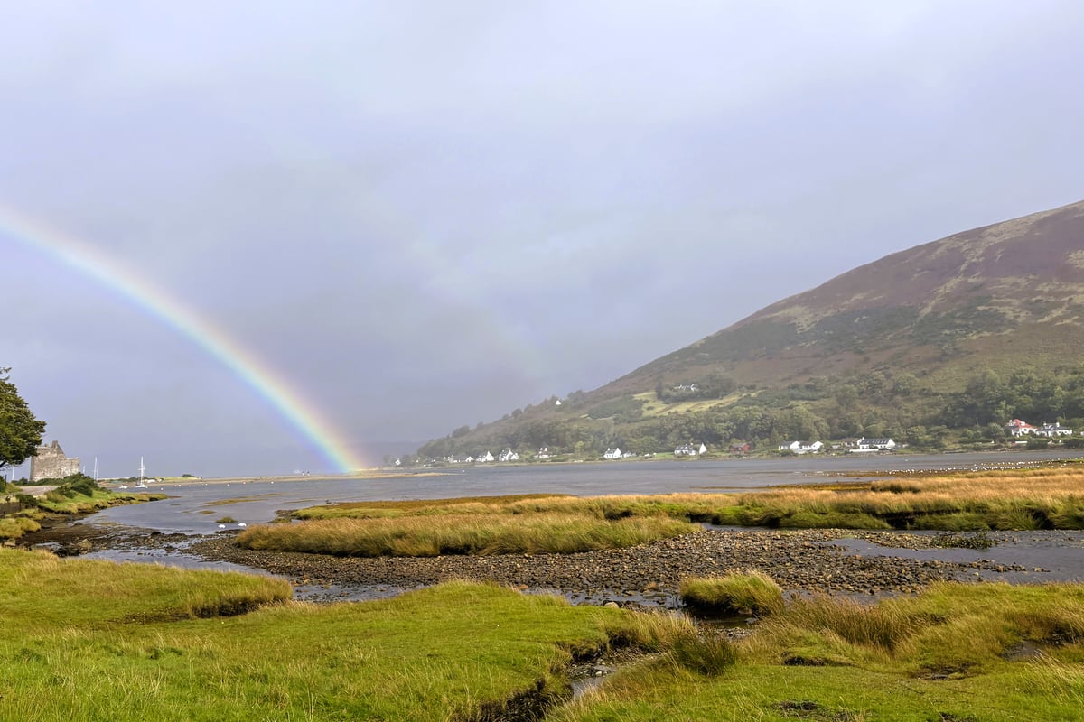 A quintessential ferry disruption as Hay's Way reaches Arran