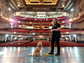 Dizzy with handler Jo Dews.