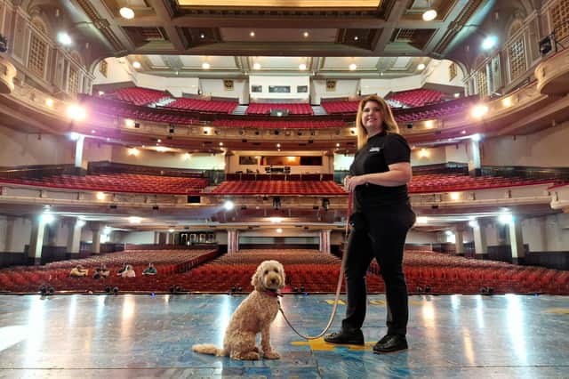 Dizzy with handler Jo Dews.