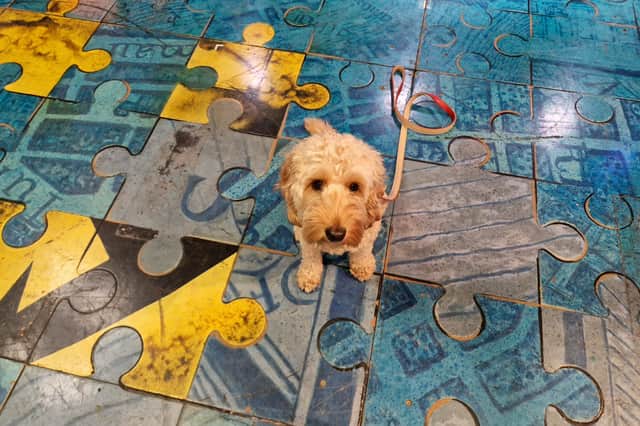 Dizzy on stage at the Edinburgh Playhouse.