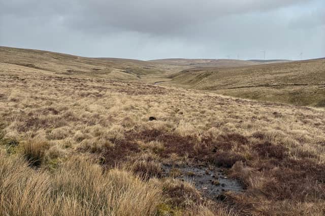Cora Cooper farms Tardoes Farm in the Muirkirk Uplands of Ayrshire
