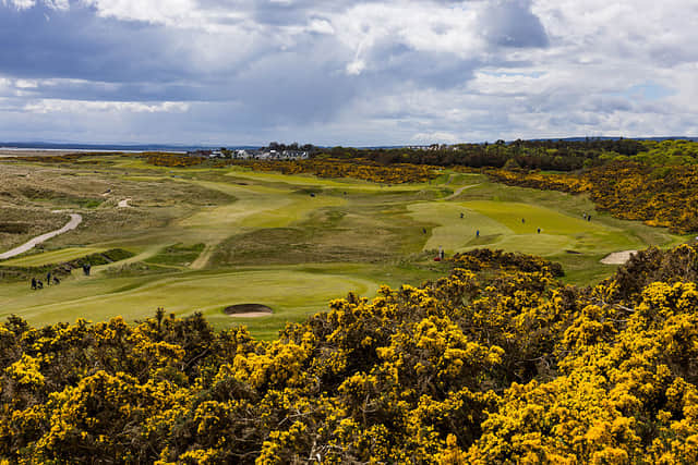 Royal Dornoch is regarded as one of the finest golf courses in Scotland. Picture: Raymond Davies/Getty