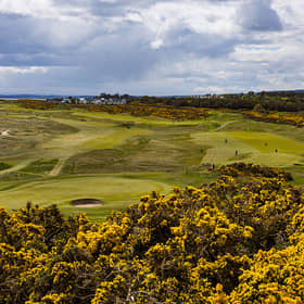 Royal Dornoch is regarded as one of the finest golf courses in Scotland. Picture: Raymond Davies/Getty