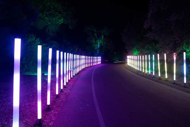 A dazzling avenue of colour will light the way at Christmas at the Botanics.