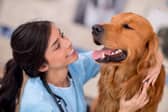 Black spots could mean it's time for a visit to the vet.
