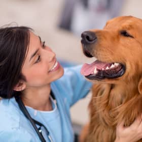 Black spots could mean it's time for a visit to the vet.