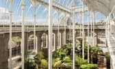 The Palm Houses at the Royal Botanic Garden Edinburgh are re-opening from today