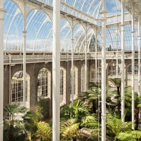 The Palm Houses at the Royal Botanic Garden Edinburgh are re-opening from today