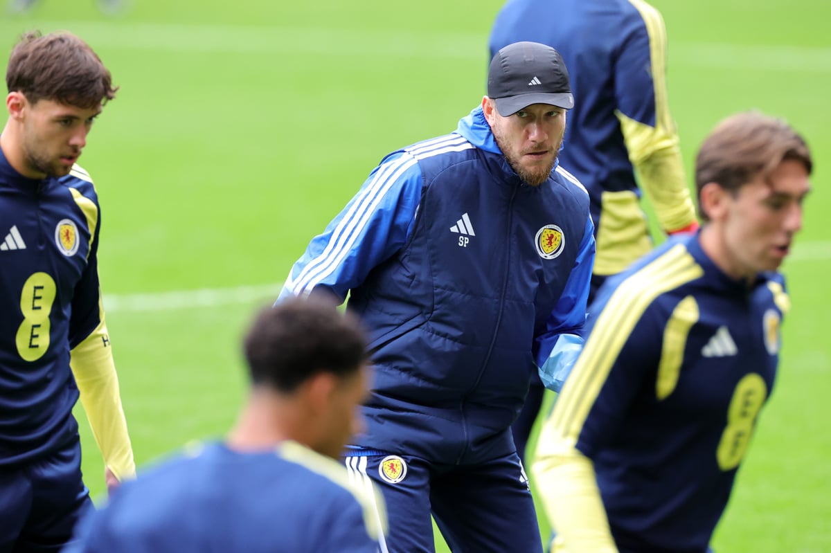 Sebastien Pocognoli and Scotland facing unprecedented challenge as club frustrations addressed