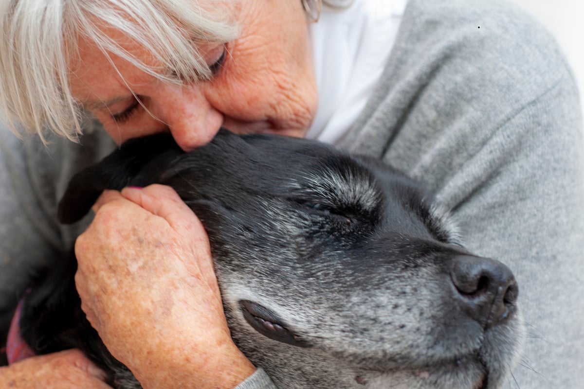 Best Dogs For The Elderly 2026: These are 15 breeds of adorable dog perfect for older owners - including the loving Pug 🐶