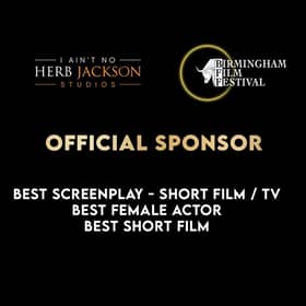 Birmingham Film Festival is a 10-day international film celebration 
