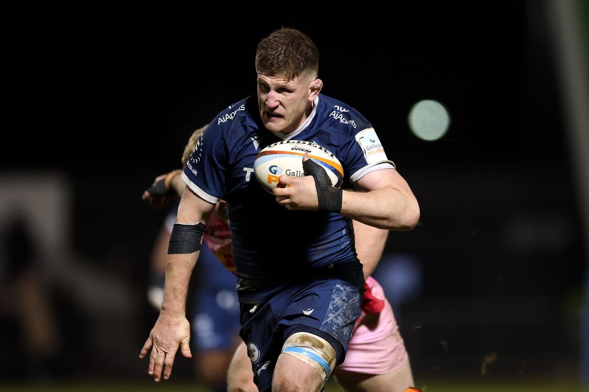 Sale Sharks' Champions Cup winning flanker banned for four matches and set to miss Glasgow Warriors clash