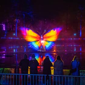 In Stop the Clock: The 25th Hour, minutes drift, clocks misbehave and the ordinary rules of reality begin to unravel as Faskally Wood is transformed through an immersive light show with a specially commissioned music and sound backdrop. 