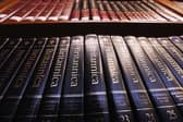 Encyclopaedia Britannica claims its works are being 'cannibalised' by the AI giant. Picture: Mario Tama/Getty