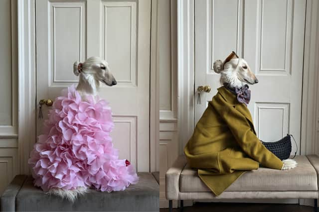 Samantha has sported hundreds of looks, expertly styled by her owner Bethany