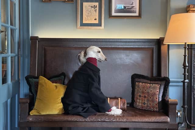 Samantha pictured in the library of the pet-friendly Kimpton Hotel in Charlotte Square