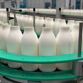 The fibre bottles are manufactured from sustainably sourced wood pulp, contain no hidden plastic and are recyclable 