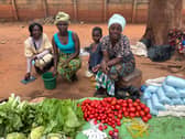 From left, Madalitso, Alefa, two-year-old Iana, and her mother Brenda, at the side of a road in Area Three, Lilongwe. Madalitso sells airtime vouchers for Airtel Malawi, while Alefa and Brenda have a stall selling the essentials of life: maize flour, tomatoes, greens and cooking oil.
