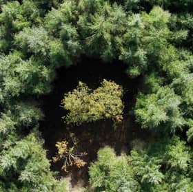 Forestry and Land Scotland 