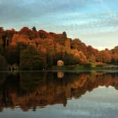 Spending time in nature can apparently help you choose healthier things to eat. Picture: Matt Cardy