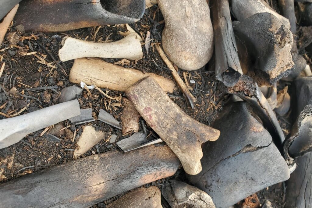 The bizarre mystery over bones discovered in wake of wildfire on Edinburgh's Arthur’s Seat