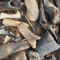 The bizarre mystery over bones discovered in wake of wildfire on Edinburgh's Arthur’s Seat