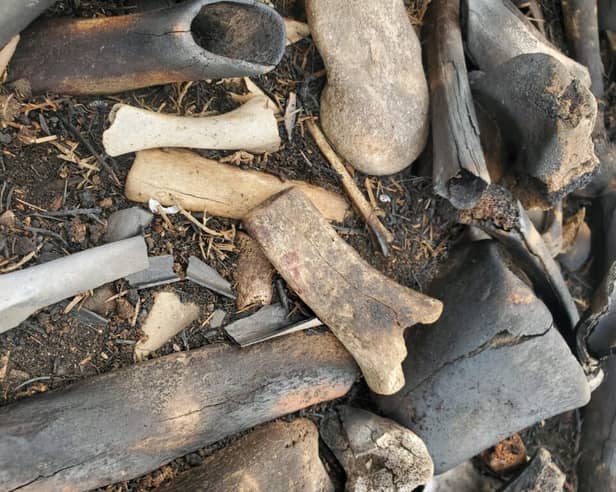 The bones were found to have been gathered from different places and deposited on the hill over time