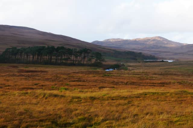 Ardlussa Estate at the north end of Jura