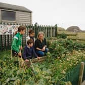 In the garden at Fair Isle Primary School