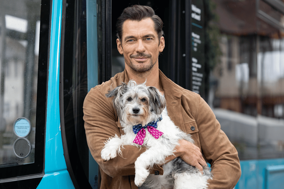 Pet owners warned to prepare for the rising cost of older animals