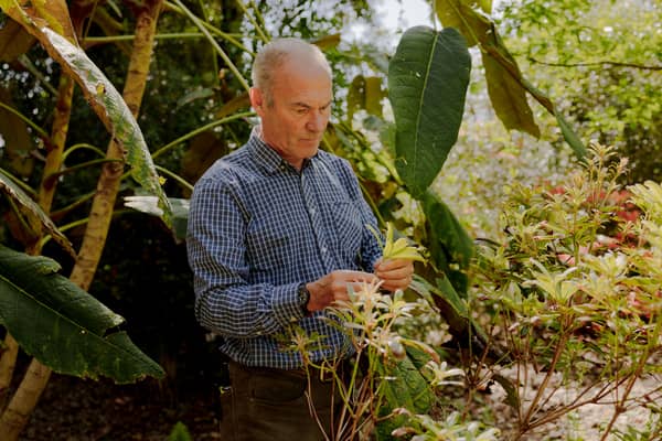Richard Baines Curator at Logan Botanic Garden