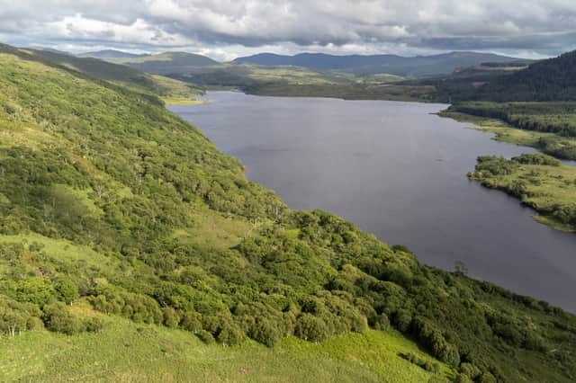 Aerial view of Arienas Woodland on the north side of Loch Arienas, Ardtornish Estate, Morven, Lochaber, Scotland, May 2025 