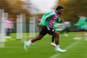 Haissem Hassan hasn't hit the ground running at Celtic.