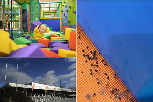 Mouse poo was photographed in the softplay area.