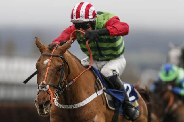 Definitly Red has been cut from 20-1 to 14-1 in the betting for next month's Grand National. Picture: Alan Crowhurst/Getty