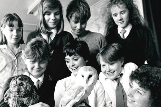 Cathedral C E Middle School, visit by owls, 1986.