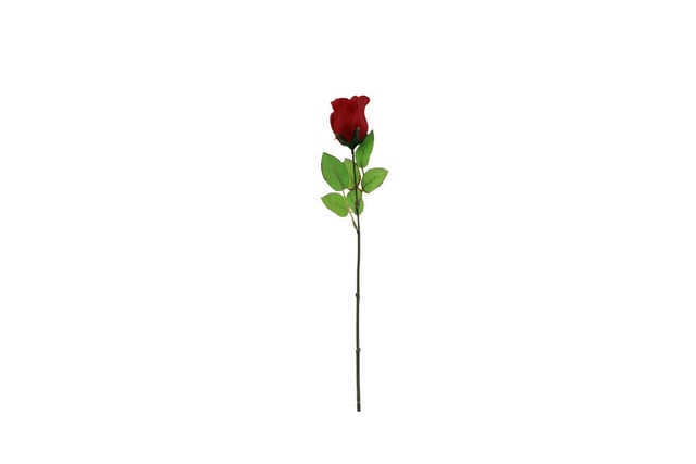 Red Rose, £1, Asda.